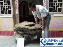 世界上最大的灵芝