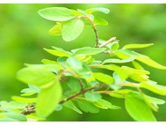 (十大欧美经典影视歌曲有哪些)欧美十大经典影视歌曲 欧美影视金曲大全 电影里好听的英文歌