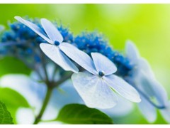 (收听率最高的十大车载音乐)10首必听的车载音乐 最经典的车载音乐 车载流行歌曲大全