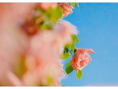 (十大经典父亲节唱给爸爸的歌)10首父亲节唱给爸爸的歌 父亲节唱什么歌最好 父亲节最火歌曲大全