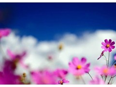 (经典春晚歌曲排行榜前十名)十大经典春晚歌曲 历年春晚最火的十首歌 历届春晚歌曲精选