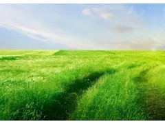 (收听率最高的十大俄罗斯歌曲)十首经典好听的俄罗斯歌曲 俄罗斯最火的歌曲 俄罗斯经典老歌推荐