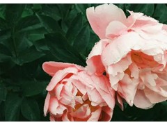 (尤克里里入门歌曲排行榜前十名)十首好听的尤克里里入门歌曲 尤克里里新手入门曲谱推荐