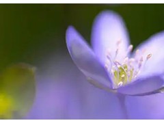 (成龙票房排行榜前十名)成龙票房前十的电影 成龙电影票房排行 成龙最卖座的电影盘点