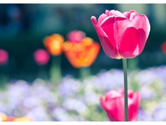 (票房最高的十大bbc纪录片)bbc纪录片排行榜前十名 bbc十大必看纪录片 bbc好看的纪录片推荐
