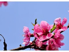 (成龙十大经典电影)成龙十大经典电影排行 成龙电影全集 成龙电影有哪些