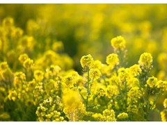 (最受欢迎的十部律政电视剧)10部经典国产高分律政剧 国产律师电视剧排行 国内最好看的律政剧