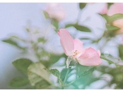 (最受欢迎的十部反贪电视剧)反贪电视剧排行榜前十名 十大扫黑除恶电视剧 反腐电视剧推荐