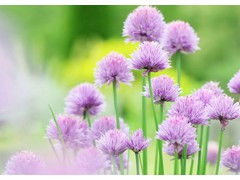 (时尚节目收视率排行榜前十名)中国十大最好看的时尚节目 时尚节目有哪些 时尚综艺节目排行榜