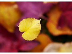 (露营综艺节目收视率排行榜前十名)十大露营综艺节目排名 最火的露营综艺 关于露营的综艺盘点
